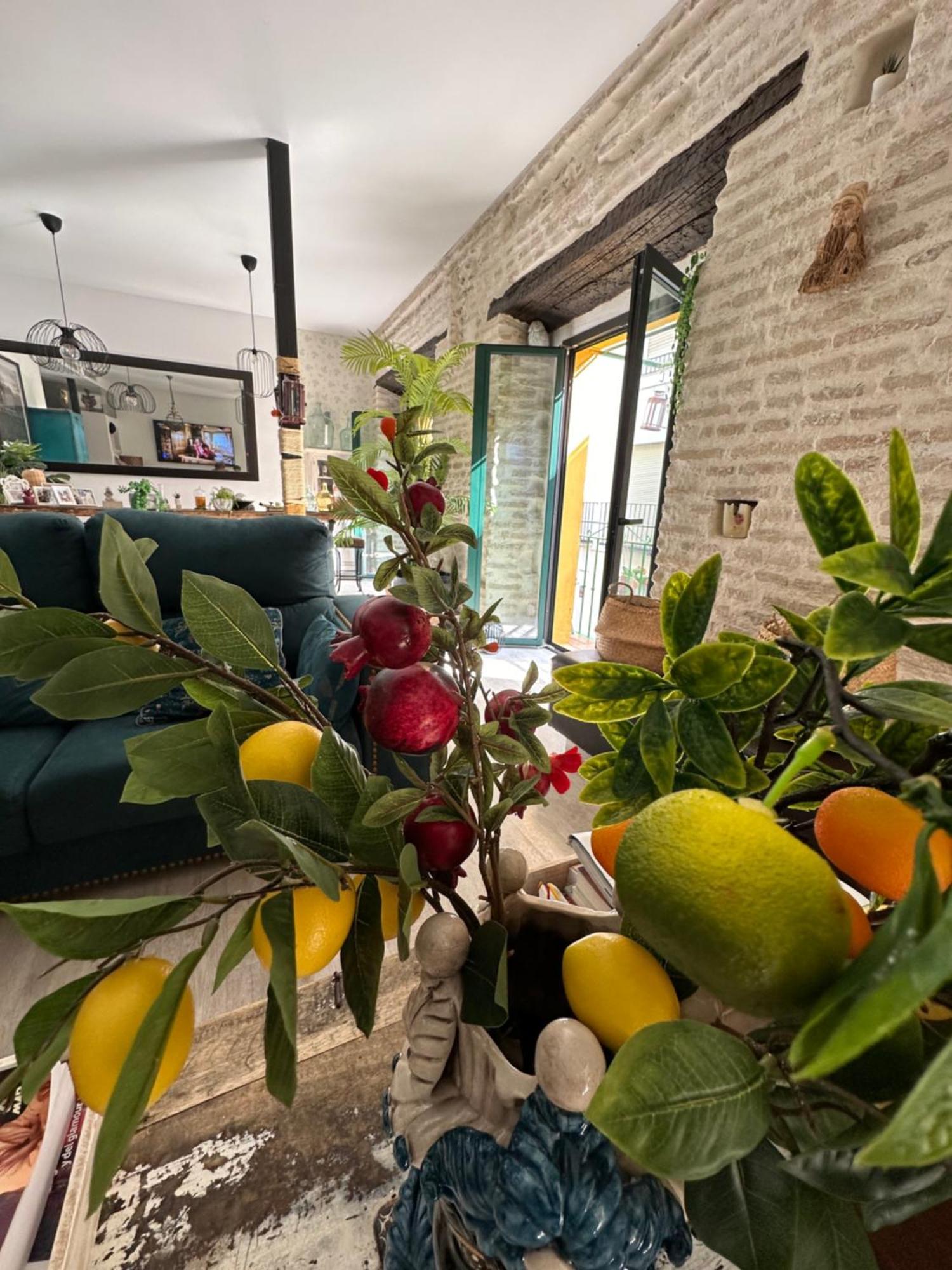 Casa Duque Compartida Familiar 1-Habitacion Con Bano Propio 塞维利亚 外观 照片