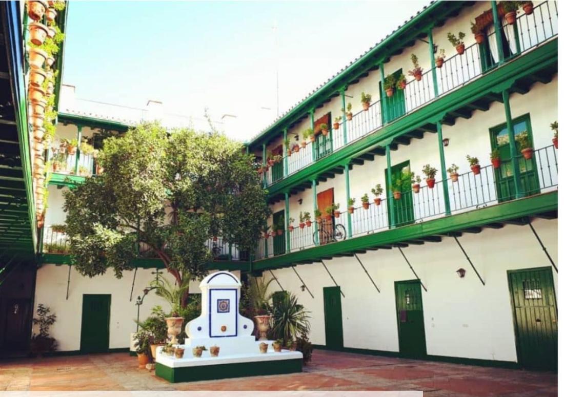 Casa Duque Compartida Familiar 1-Habitacion Con Bano Propio 塞维利亚 外观 照片