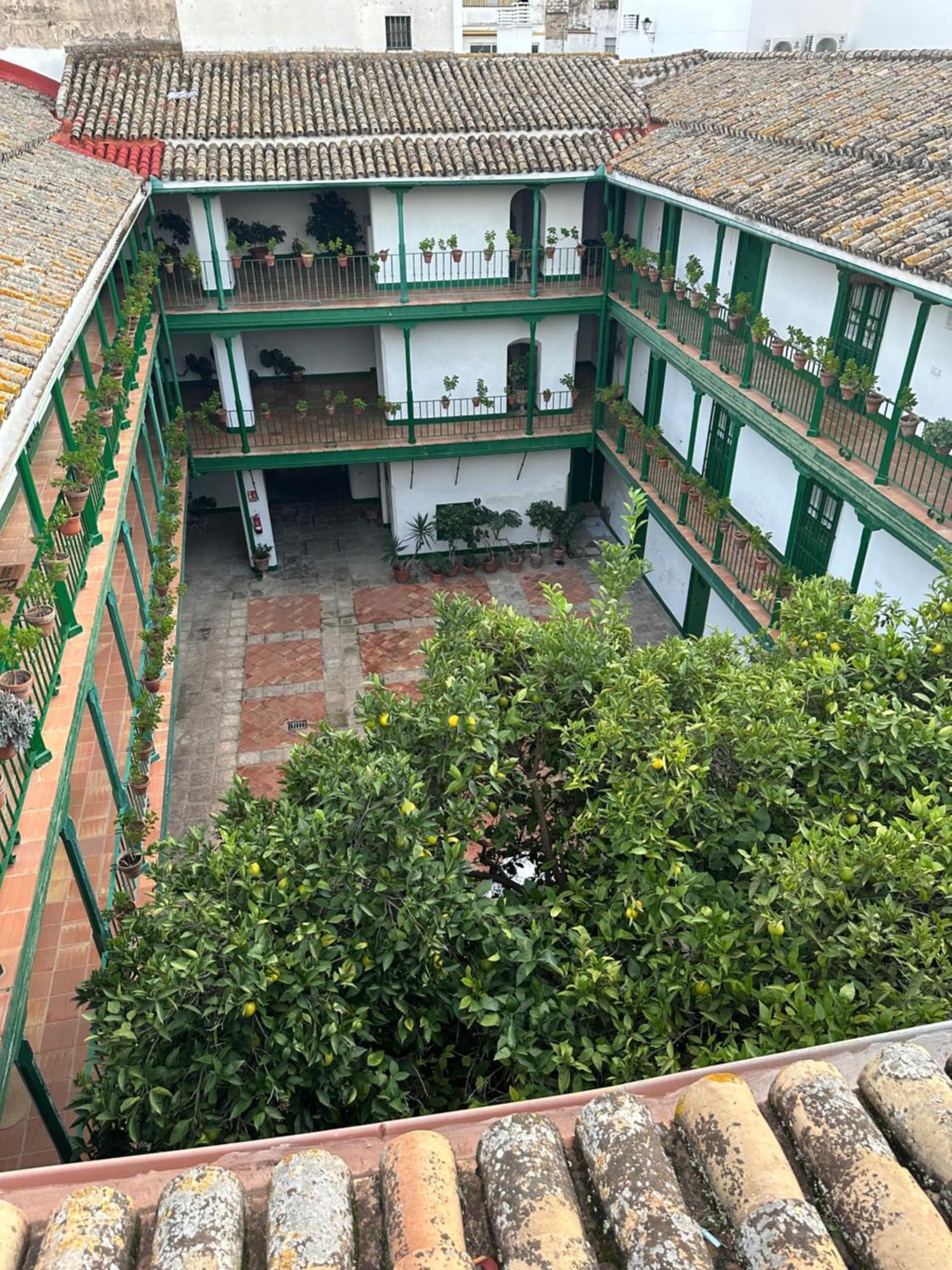 Casa Duque Compartida Familiar 1-Habitacion Con Bano Propio 塞维利亚 外观 照片